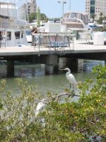 florida_10_image28.jpg